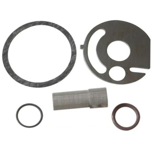 SENHE Diesel-Standheizungs-Service-Set, kompatibel mit Eberspacher Hydronic D5WZ D5WS D3WZ B4WSC Sieb von SenhE