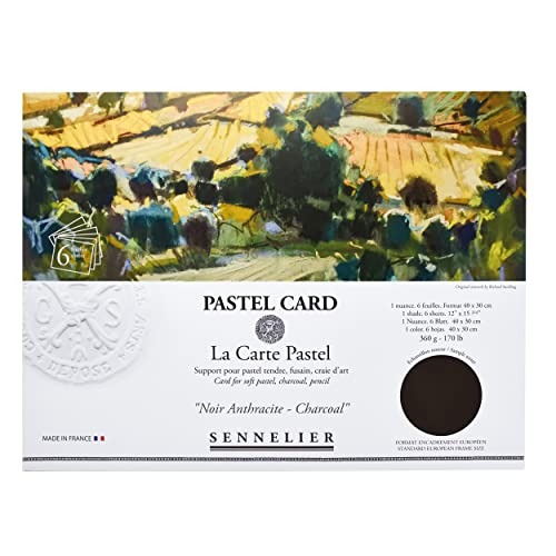 Sennelier La Carte Pastellkarten-Pochette, 40 x 27,9 cm, monochromatisch, Anthrazit von Sennelier