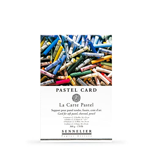 Sennelier Pastell Dry Card (feinkörniges Schleifpapier) Pad 24 x 16 cm, 12 Blatt mit 6 verschiedenen Farben, 360 g von Sennelier
