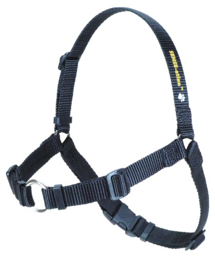 Anti Zieh Hundegeschirr - SENSEation Harness Erziehungsgeschirr - Erziehungshalsband - Reduziert Ziehen an der Leine - Medium Anti Zieh Hundegeschirr - SENSEation Harness Erziehungsgeschirr - Erziehungshalsband - Reduziert Ziehen an der Leine - Medium von Sense-Ation Harness