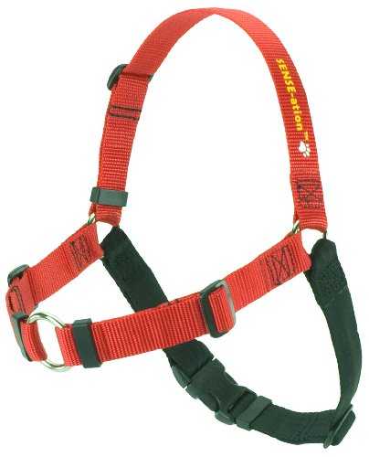 Erziehungsgeschirr für temperamentvolle Hunde – Das SENSEation Harness Erziehungshalsband für Hunde, die stark an der Leine ziehen – Anti Zieh Garantie! (Rot, L 2.5cm) von Sense-Ation Harness