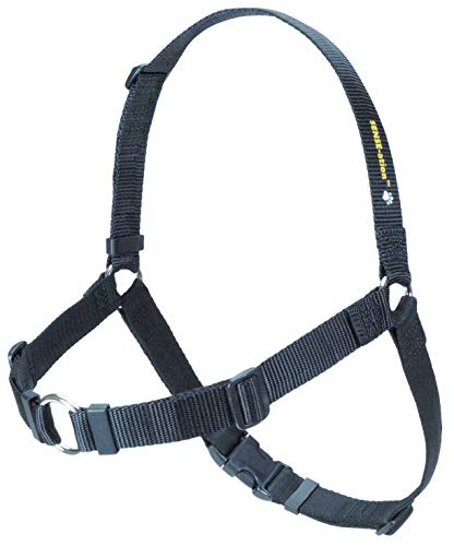 Erziehungsgeschirr für temperamentvolle Hunde – Das SENSEation Harness Erziehungshalsband für Hunde, die stark an der Leine ziehen – Anti Zieh Garantie! (Schwarz, L 2.5cm) von Sense-Ation Harness