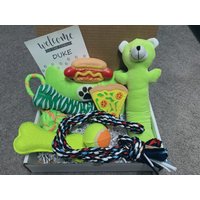 Spielzeugkiste & Spielzeugkorb Für Hunde | Geschenke Welpen Spielzeug New Puppy Toy Box Kauspielzeug Quietschspielzeug Süßes Hundespielzeug von SentWithCareUSA