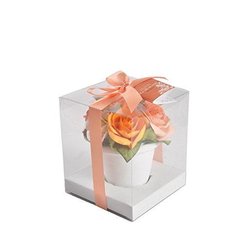 Sentiflore Potpourri Rosen im Topf 12,5 x 12,5 x 14,5 cm orange von Sentiflore