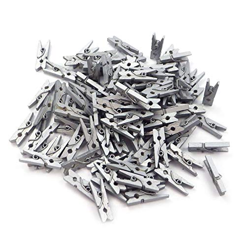 100 kleine Mini Deko Holzklammern Dekoklammern Zierklammern Mini Clips Klammern Natur Holz Silber (SD-DK-100-Silver) von Sepkina