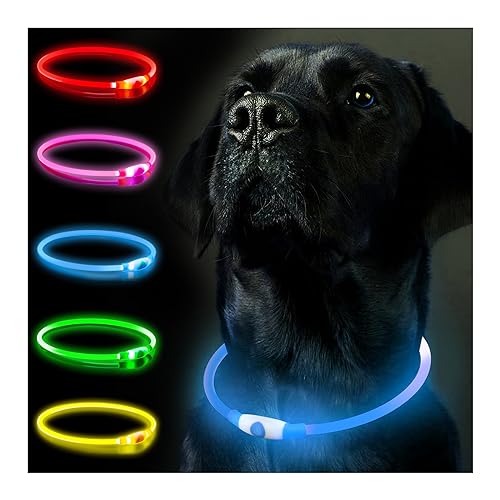 Leuchthalsband Hund, Hundehalsband Leuchtend Aufladbar, LED Halsband für Hunde Leuchtband Hund Einstellbare Größe Hunde Leuchthalsband,Lichtmodi Sicherheit für Ihren Hund in der Nacht(Blau) von SerDa-Run
