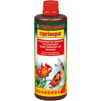 Sera pond cyprinopur 500ml Arzneimittel im Gartenteich gegen Bakterien und Parasiten von Sera