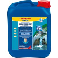 Sera pond toxivec 5 Liter Wasserwerte optimieren Gartenteich Pflegen von Sera