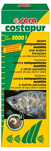 sera costapur F 500 ml - Arzneimittel für Fische gegen Ichthyophthirius multifiliis und andere einzellige Hautparasiten, Medizin fürs Aquarium von sera