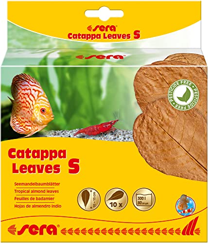 sera Catappa Leaves S 10-15 cm (10St) - Seemandelbaumblätter für die natürliche Wasseraufbereitung von sera