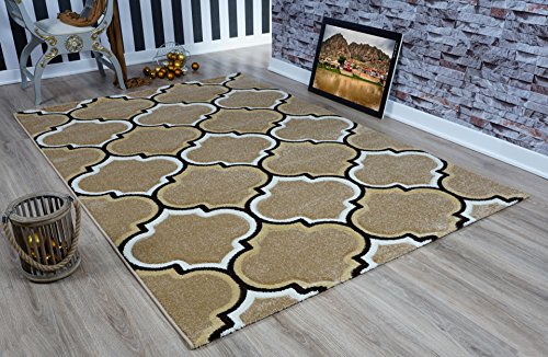 Serdim Rugs Ltd Moderner, weicher, handgeschnitzter Spalier, 1,2 cm Dicker Flor, wasserabweisend & farbecht, waschbare Teppiche, 120 x 170 cm, Beige von Serdim Rugs