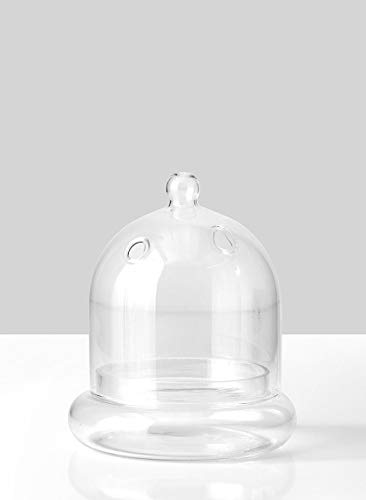 Serene Spaces Living Glasglocke, ideal als Terrarium, 2 Stück Small 6" Tall x 5" Diameter farblos Serene Spaces Living Glasglocke, ideal als Terrarium, 2 Stück Small 6" Tall x 5" Diameter farblos von Serene Spaces Living