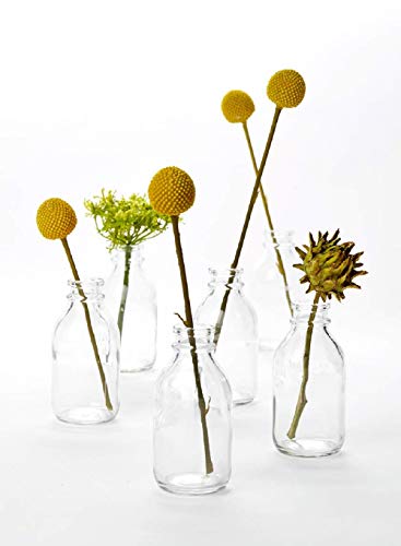 Serene Spaces Living Milchflaschen-Vasen aus Glas, Vintage-Milchflaschen-Stil, für Heimdekoration, Veranstaltungsaufsätze und mehr, 10,8 cm H x 5,1 cm D, 6 Stück von Serene Spaces Living