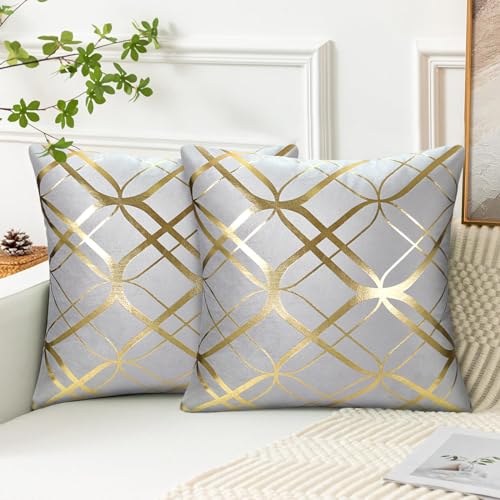 2er Set Kissenbezüge Grau 40x40 cm Abstrakte Kunst Samt Soft Dekorative Kissenhülle Geometrie Streifen Dekokissen Gold Heißpräge Sofakissen Dekokissen Zierkissenbezug für Sofa Schlafzimmer Wohnzimmer von Serento