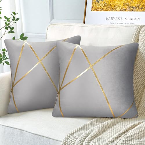 Samt Kissenbezug 40 x 40 cm Golden Geometrische Linien Kissenbezüge Grau Abstrakt Kissenhülle Dekokissen Moderne Sofakissen für Sofa Couch Wohnzimmer Bett 2er Set von Serento