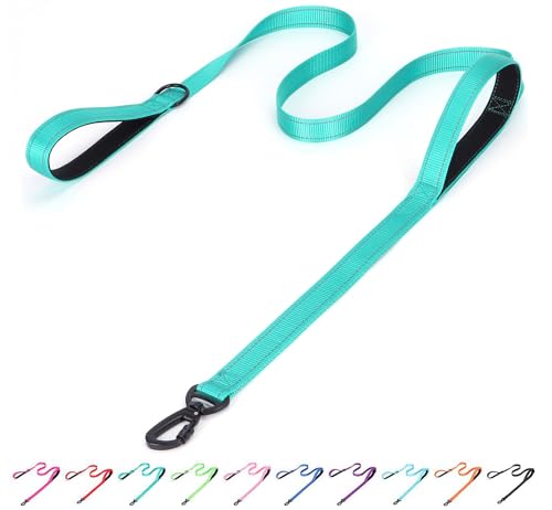 Serijoars Reflektierende Nylon-Hundeleine, strapazierfähig, gepolstert, zwei Griffe, reflektierende Leine für Nachtsicherheitstraining für kleine, mittelgroße und große Rassen, Blaugrün, 1,5 m x 2,5 von Serijoars