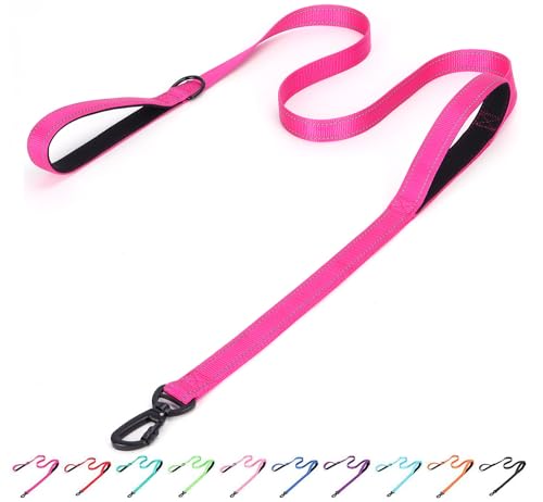Serijoars Reflektierende Nylon-Hundeleine, strapazierfähig, gepolstert, zwei Griffe, reflektierende Leine für Nachtsicherheitstraining für kleine, mittelgroße und große Rassen, Hot Pink, 1,5 m x 2,5 von Serijoars
