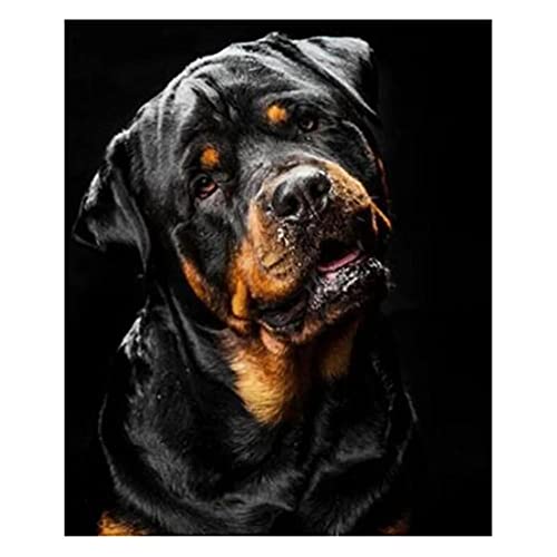 5D Diamond Painting，Diamant Painting Set,Rottweiler-Hund Square Drill DIY Vollbohrer Kinder Diamond Painting Bilder Strass Stickerei Mosaik Gemälde Kreuzstich für Home Wall Décor 30x40cm 12x16inch von Serlaok