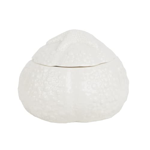 Modern Urchin Zuckerdose aus Porzellan mit Deckel Modern Urchin Zuckerdose aus Porzellan mit Deckel von Servette Home