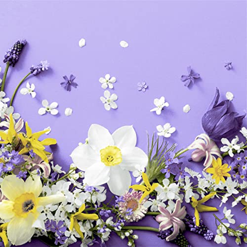 20 Servietten Frühlingsblumen auf lila Narzissen 33cm von Serviette Frühling Sommer