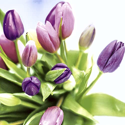 20 Servietten Tulpenstrauß im Frühling Tischdeko 24cm von Serviette Frühling Sommer