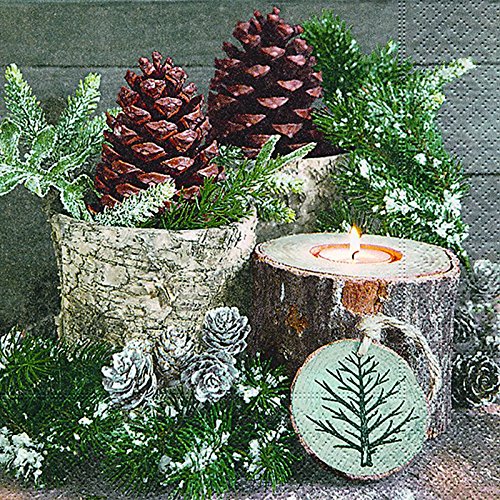 20 Servietten Weihnachten Zapfen Natur grün Christmas 33x33 cm von Serviette Weihnachten