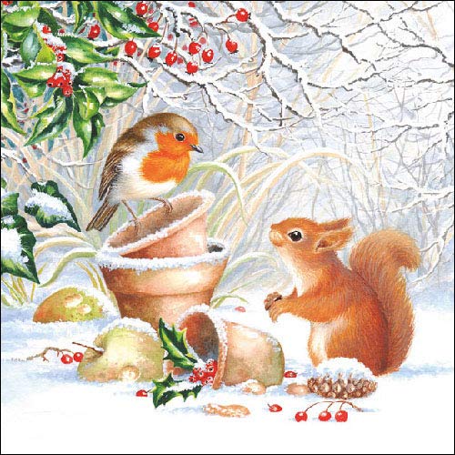 20 Servietten Eichhörnchen/Vogel im Winter/Tiere/Winter/Weihnachten/Robin von Serviette Winter