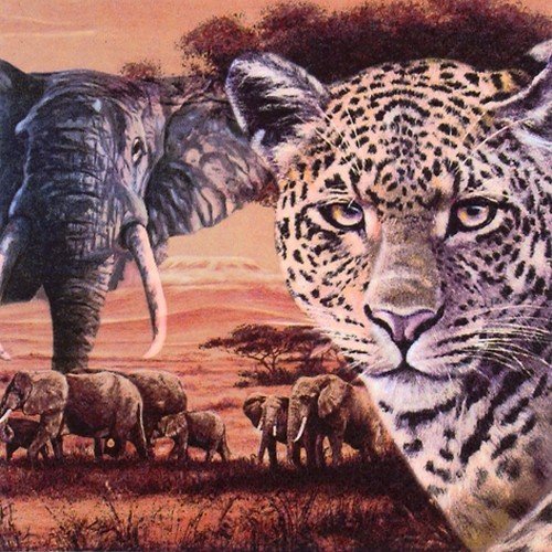 20 Servietten Afrikas wilde Tiere/Elefant/Leopard/Afrika 33x33cm von Servietten Afrika