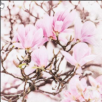 20 Servietten Bl?hende rosa Magnolien | Blumen | Frühling 33x33cm von Servietten Blumen