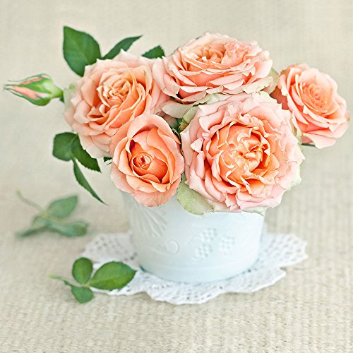 20 Servietten Blumentopf Rosen orange/Blumen/Hochzeit 33x33cm von Servietten Blumen