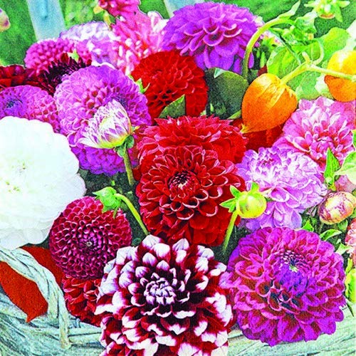 20 Servietten Dahlien im Korb als Tischdeko mit Blumen 33x33cm von Servietten Blumen