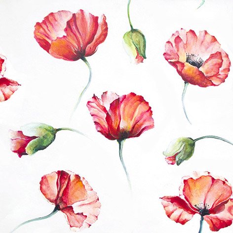 20 Servietten Drawing Poppy Gemalte Mohnblumen/Blumen 33x33cm von Servietten Blumen