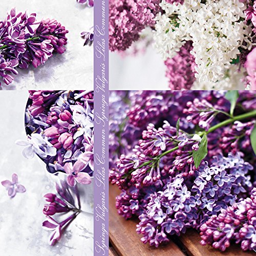 20 Servietten Flieder Collage/Blumen/Frühling/Sommer 33x33cm von Servietten Blumen