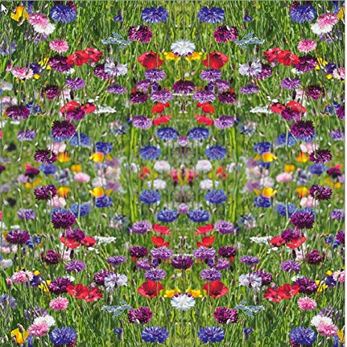 20 Servietten Flower Field - Buntes Blumenfeld/Blumen/Wiese/Natur 33x33cm von Servietten Blumen