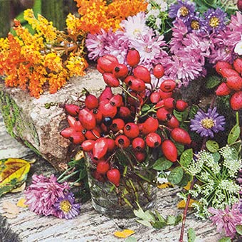 20 Servietten Hagebutten und Blumen | Herbst | Tischdeko 33x33cm von Servietten Blumen