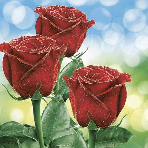 20 Servietten Klassische rote Rosen | Blumen | Hochzeit | Sommer 33x33cm von Servietten Blumen