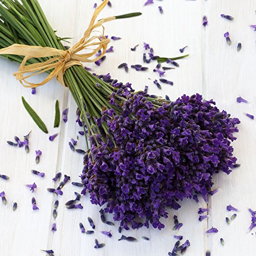 20 Servietten Lavendel auf Holz/Blumen/Frühling/Sommer 33x33cm von Servietten Blumen
