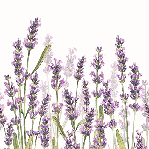 20 Servietten Lavendelwiese bl?ht auf | Blumen | Wiese | Sommer | Tischdeko 33x33cm von Servietten Blumen