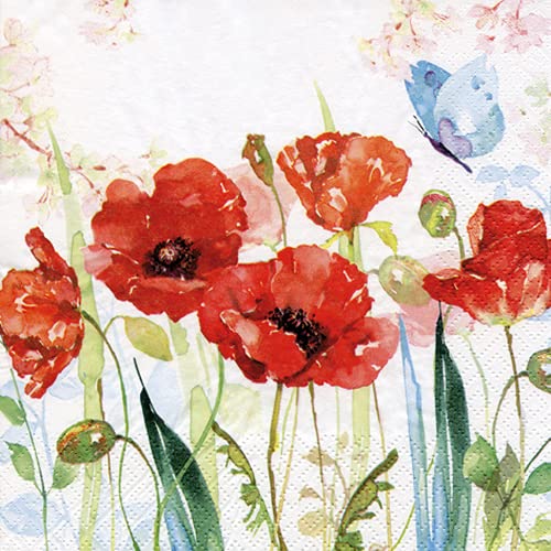 20 Servietten Mohnblumen im Garten | Frühling | Sommer | Tischdeko 33x33cm von Servietten Blumen