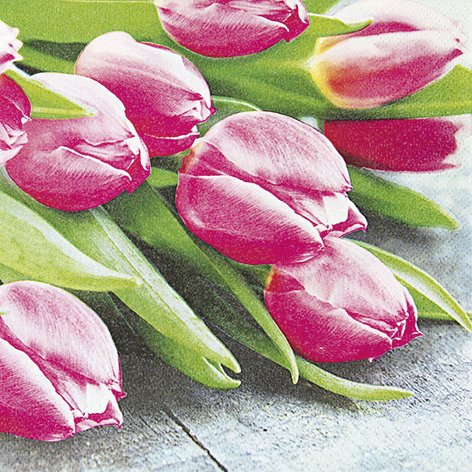 20 Servietten Pink Tulips Pinkfarbene Tulpen/Blumen 33x33cm von Servietten Blumen