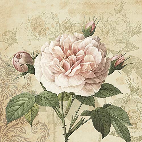 20 Servietten Vintage Rose an Ornamente | Blumen | Decoupage 33x33cm von Servietten Blumen