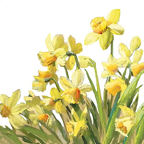 Servietten Blumen 20 Gelbe Narzissenwiese | Frühling Sommer Tischdeko 33x33cm von Servietten Blumen
