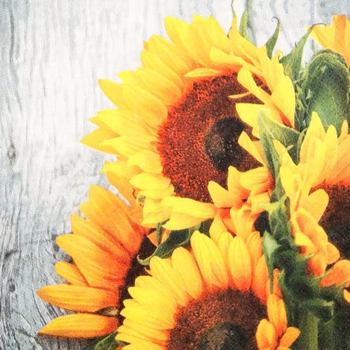 20 Servietten Clara Sonnenblumenbund/Sommer/Sonnenblumen/Blumen 33x33cm von Servietten Frühling
