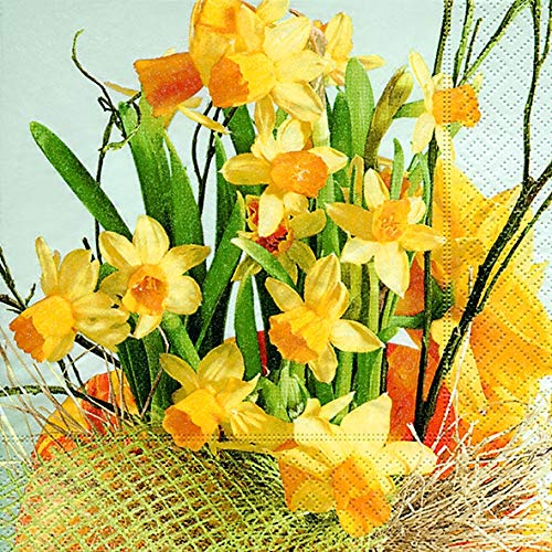 20 Servietten Daffodil Blossoms ? Narzissenblüten/Blumen/Frühling 33x33cm von Servietten Frühling