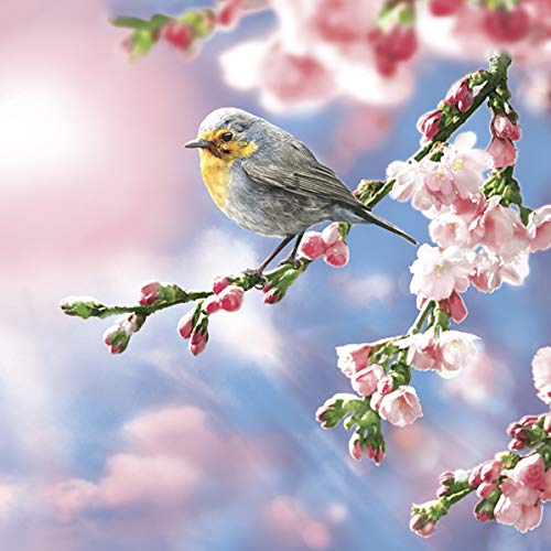 20 Servietten Vogel im Sonnenaufgang | Frühling | Sommer | Tiere | Tischdeko 33x33cm von Servietten Frühling