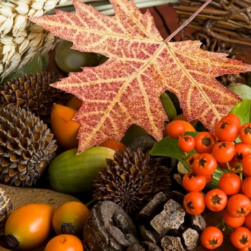 20 Servietten Herbst mit Ahornblatt, Zapfen und Berren. Papierservietten herbstlich als Tischdeko Herbstmotiv. Natur Motiv Autumn 33x33cm von Serviettenshop