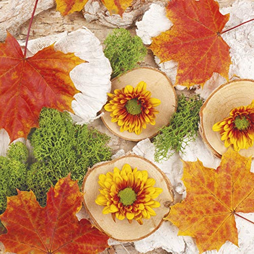 20 Servietten Herbstblätter auf Baumscheiben | Ahorn | Herbst | Tischdeko 33x33cm von Serviettenshop