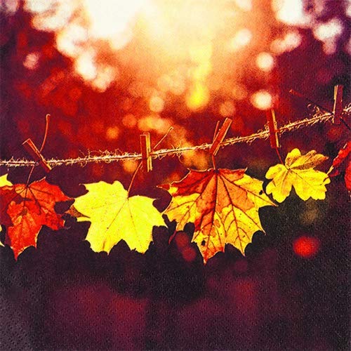 20 Servietten Herbstblätter im Sonnenschein als Tischdeko für den Herbst 33x33cm von Serviettenshop