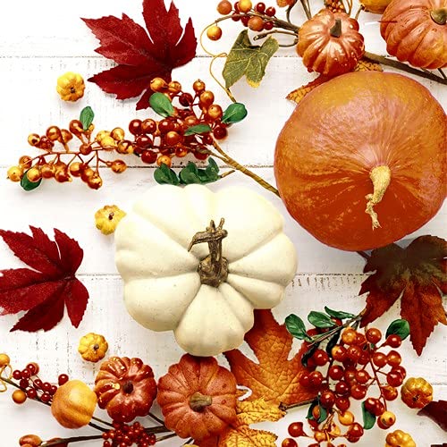 20 Servietten Kürbisse an Herbstdeko | Blätter | Herbst | Tischdeko 33x33cm von Serviettenshop