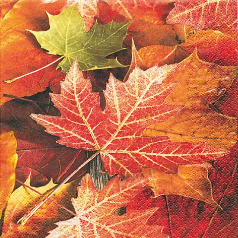 20 Servietten Maple Leaves AhornBlätter/Herbst 33x33cm von Serviettenshop